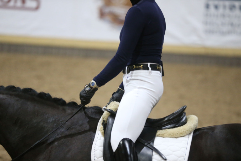 Lättridning tillåtet i särskilda dressyrprogram