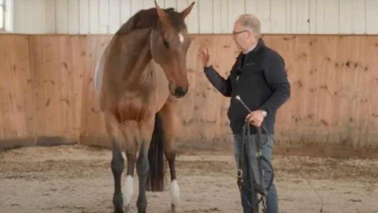 Ridsport Play: Frihetsträna din häst med Bo Jenå
