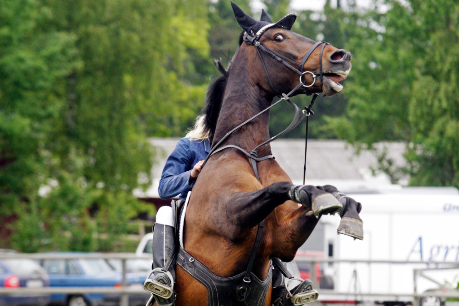 ”Det gäller att gå tillbaka och göra något hemtrevligt”