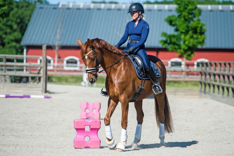 Hjälp hästen att bli kroppsmedveten
