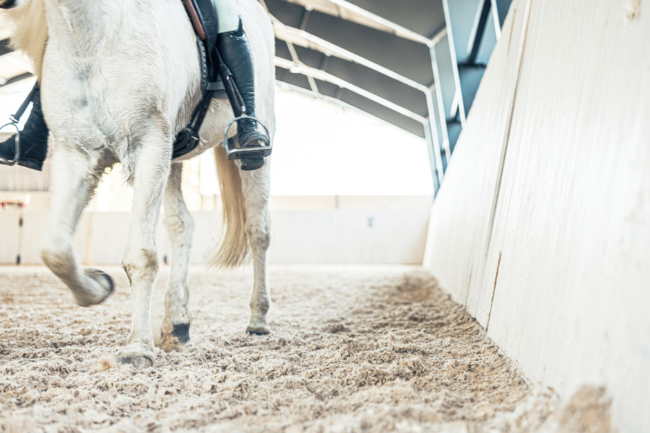 Ridsportsatsning nära konkurs – kommunen ”förd bakom ljuset”