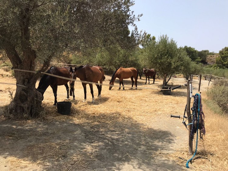 36387917814214392717322532163183022922021244n