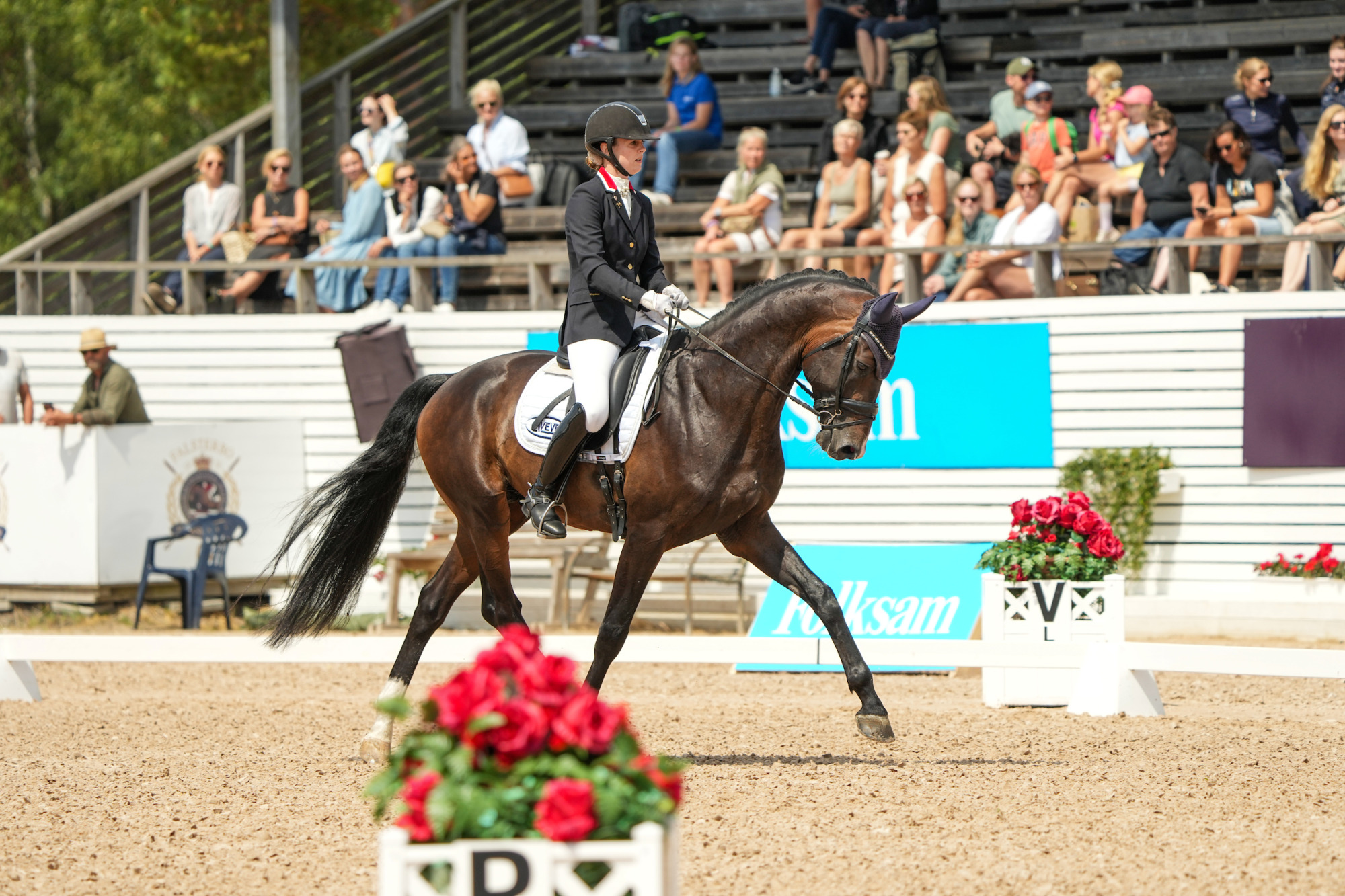 Trude Hestengen Svaleg&aring;rds Hot Boy Dwb