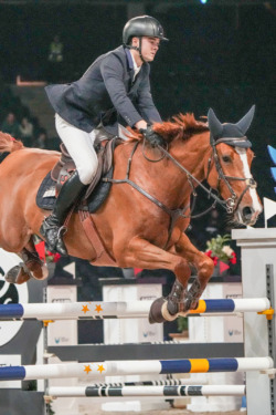 Il_rossa_di_costa_lfc_sh_kcl09403