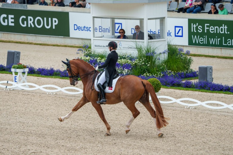 Danmarks långa EM-lista utan individuell VM-medaljör