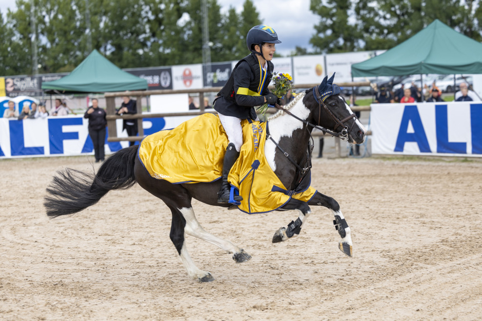 Adam Hammarström tog SM-guld för B-ponny: ”Hon är min lilla Minnie morot”