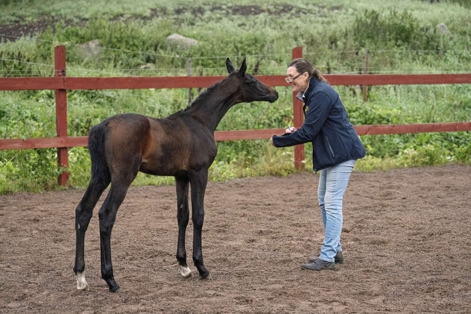 CML-fölen bäst i Norra Kalmar