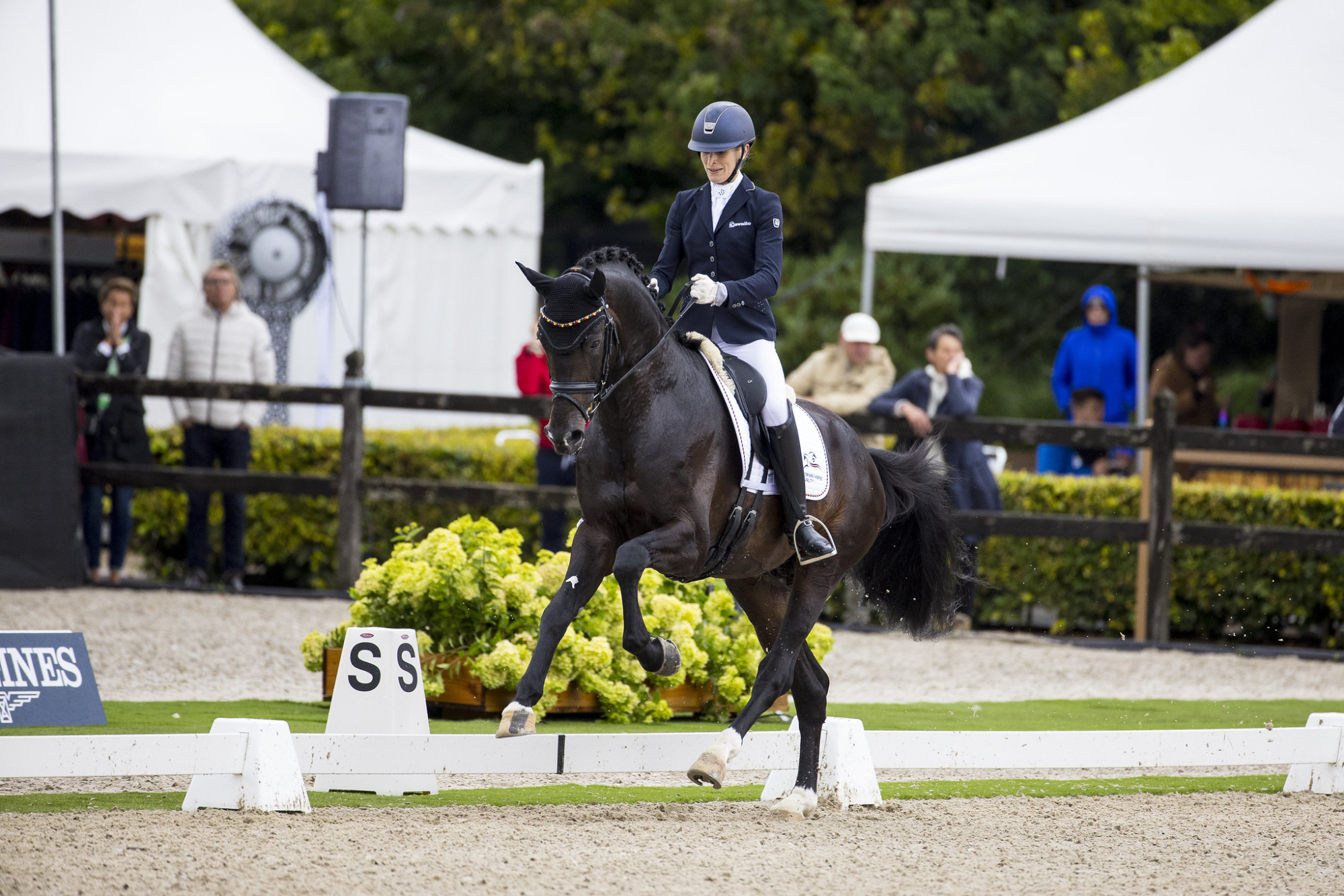 Fei_digishots_53098111958_2fef1d53a5_k