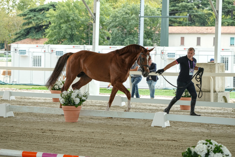 Gerfriedpuckequitron Naxcel V