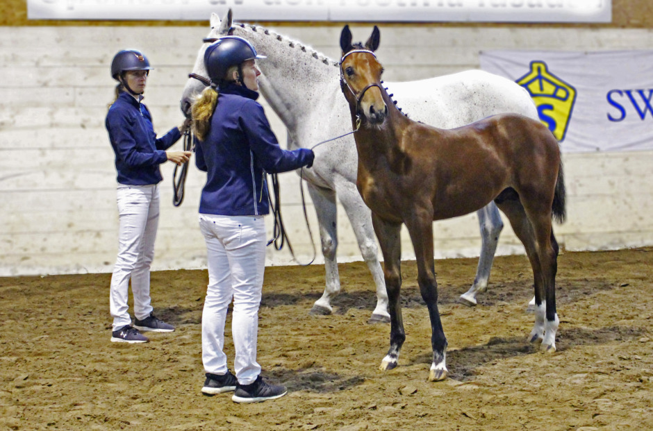 God kvalitet på Dalafölen