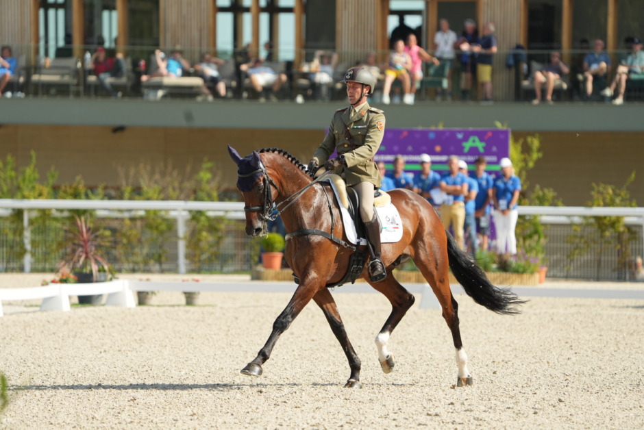 SWB-hästen som matchas mot OS – under italiensk flagg