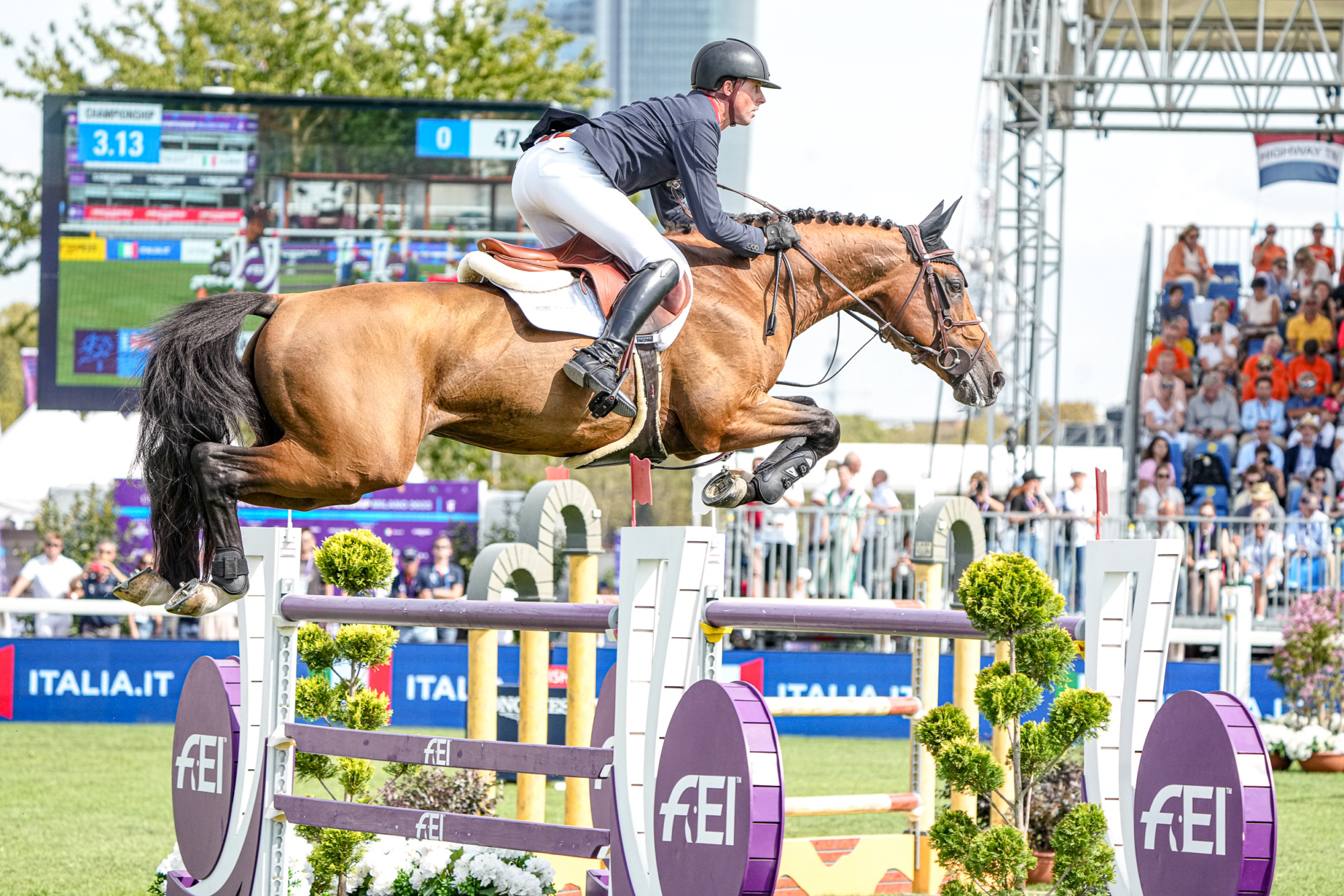 Ben Maher (gbr) Faltic Hb