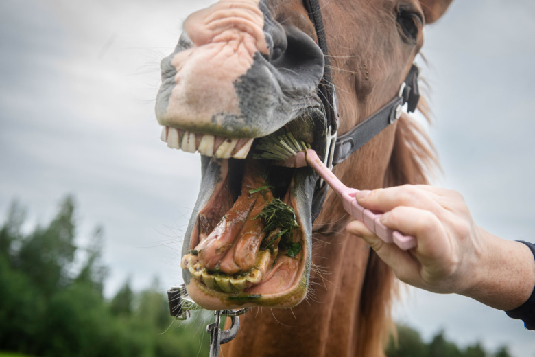 Karies – problem som växer
