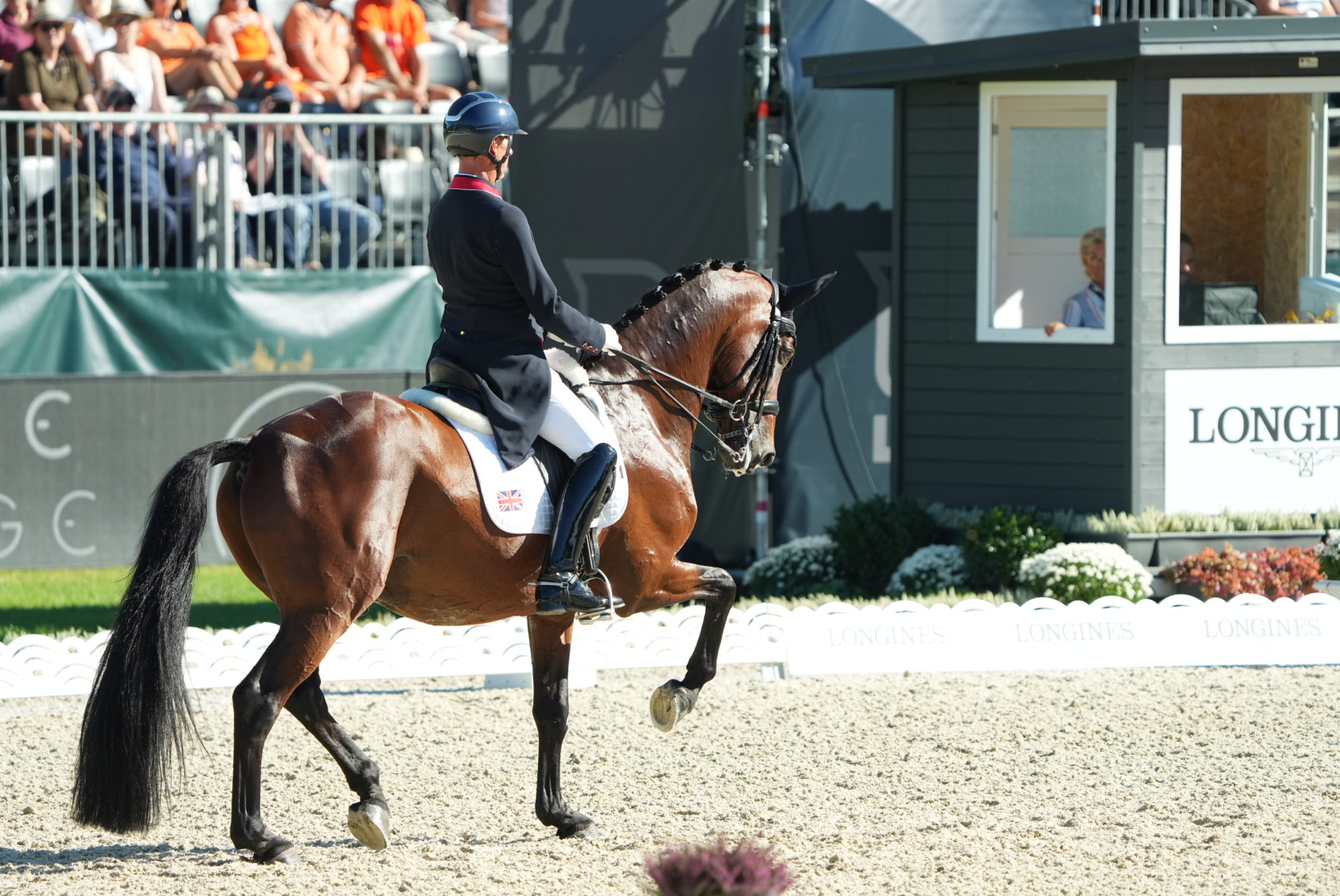 Carl Hester Gbr Fame-7