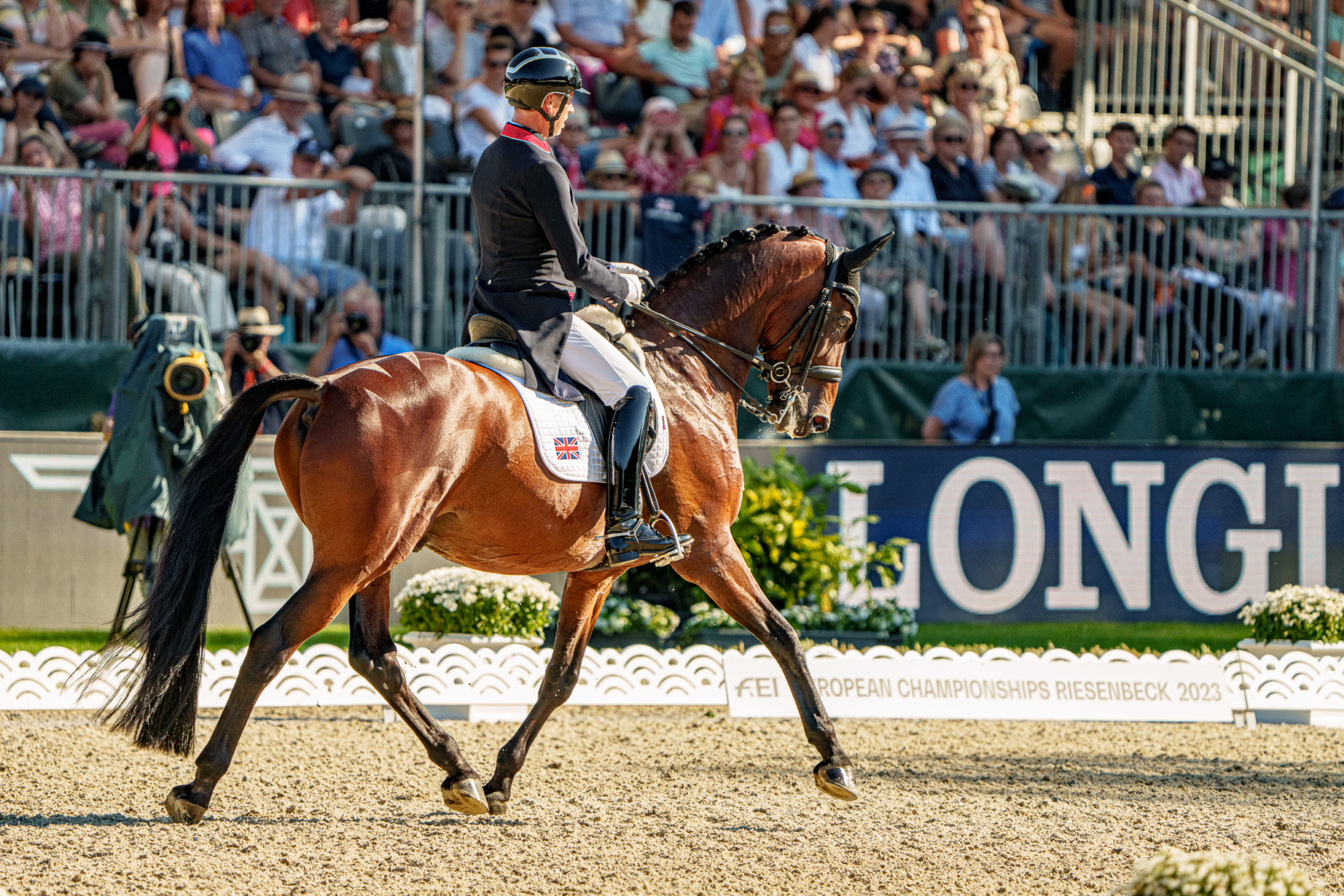 Carl Hester (gbr) Fame, Carl Hester (GBR) med Fame (KWPN brun 13 &aring;r valack e. Bordeaux&ndash;Rhodium &auml;g Fiona Bigwood Penny Bigwood Anders Dahl Mette Bigwood)