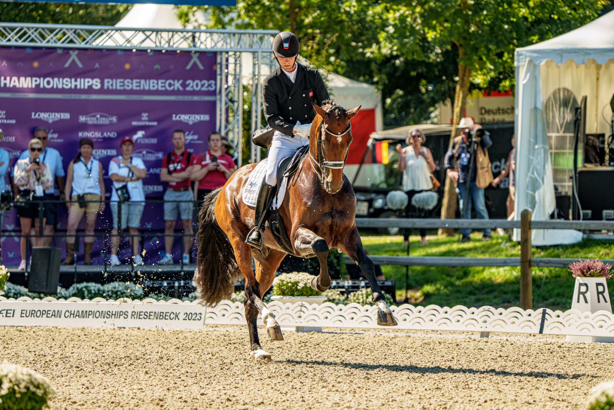 Daniel Bachmann Andersen (den) Vayron, Daniel Bachmann Andersen (DEN) med Vayron (WESTF brun 12 &aring;r hingst e. Vitalis&ndash;Gloster &auml;g Rudolf Spiekermann)