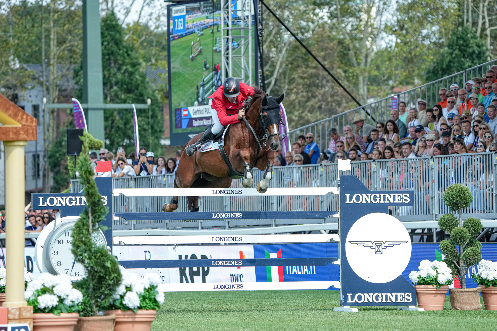 Gerfried Puck (aut) Equitron Naxcel V