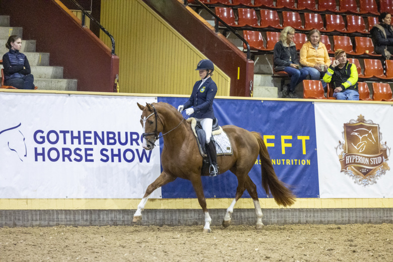 Det händer på SWB Equestrian Weeks på lördagen – dags för testridning