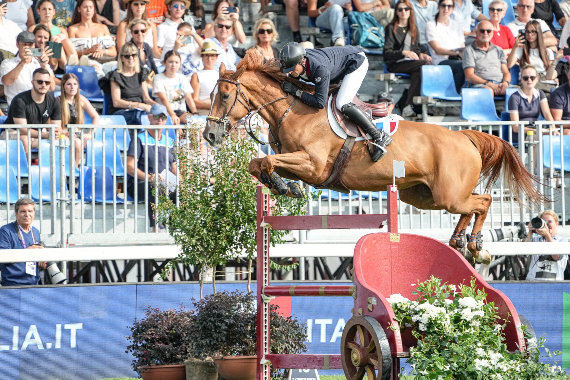 Julien Epaillard (fra) Dubai Du Cedre