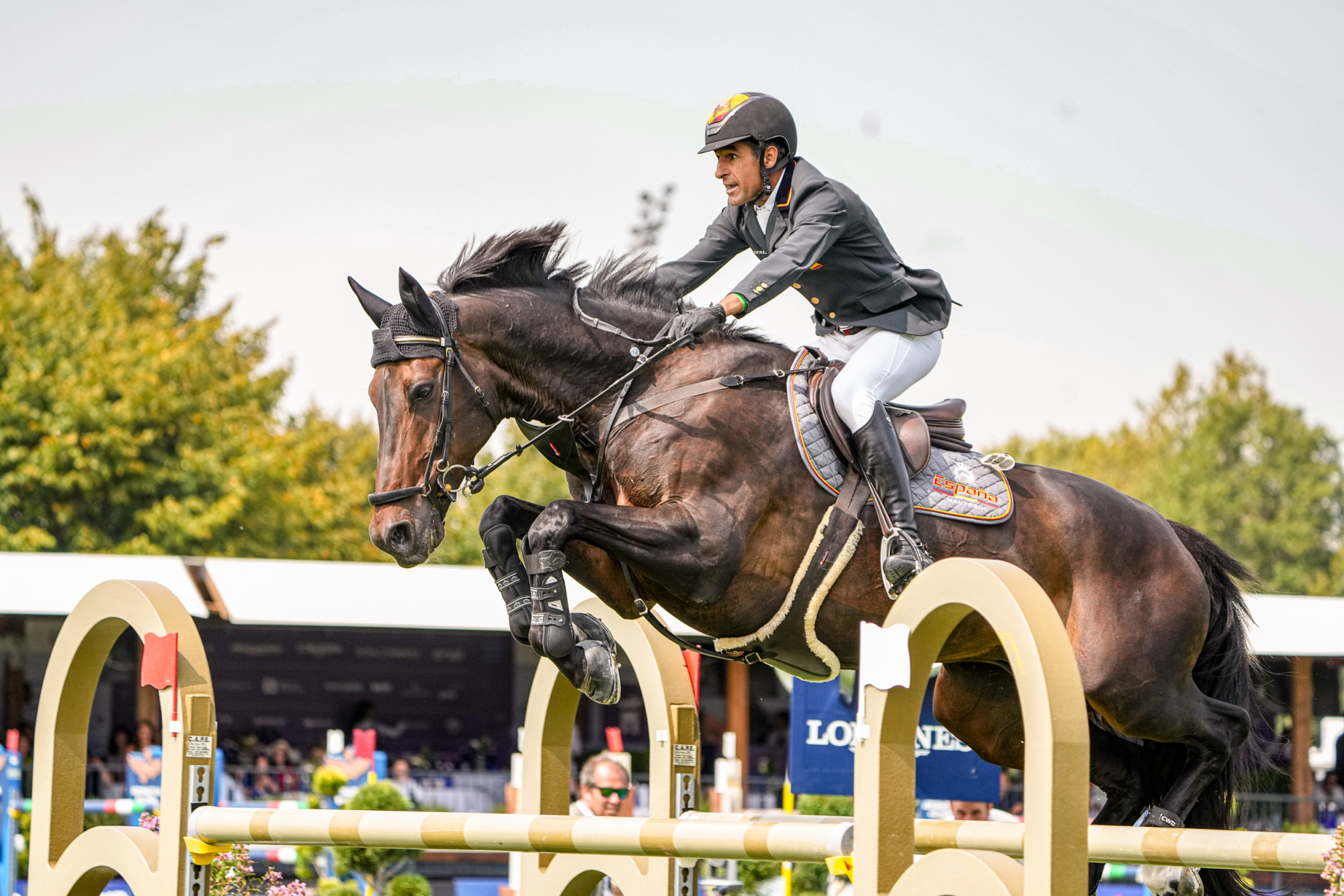 Manuel Fernandez Saro (esp) Jarlin De Torres