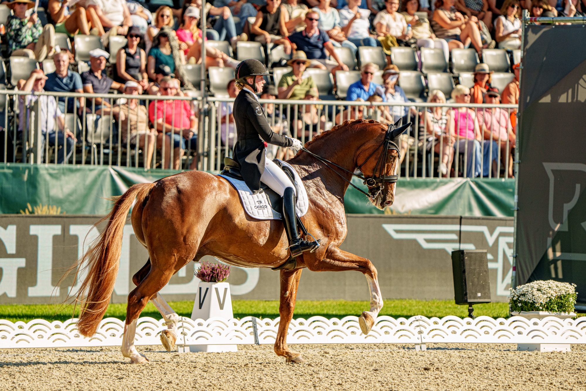 Nanna Skodborg Merrald (den) Blue Hors Zepter, Nanna Skodborg Merrald (DEN) med Blue Hors Zepte (OLDBG fux 15 &aring;r valack e. Blue Hors Zack&ndash;Wolkentanz II &auml;g Blue Hors Aps)