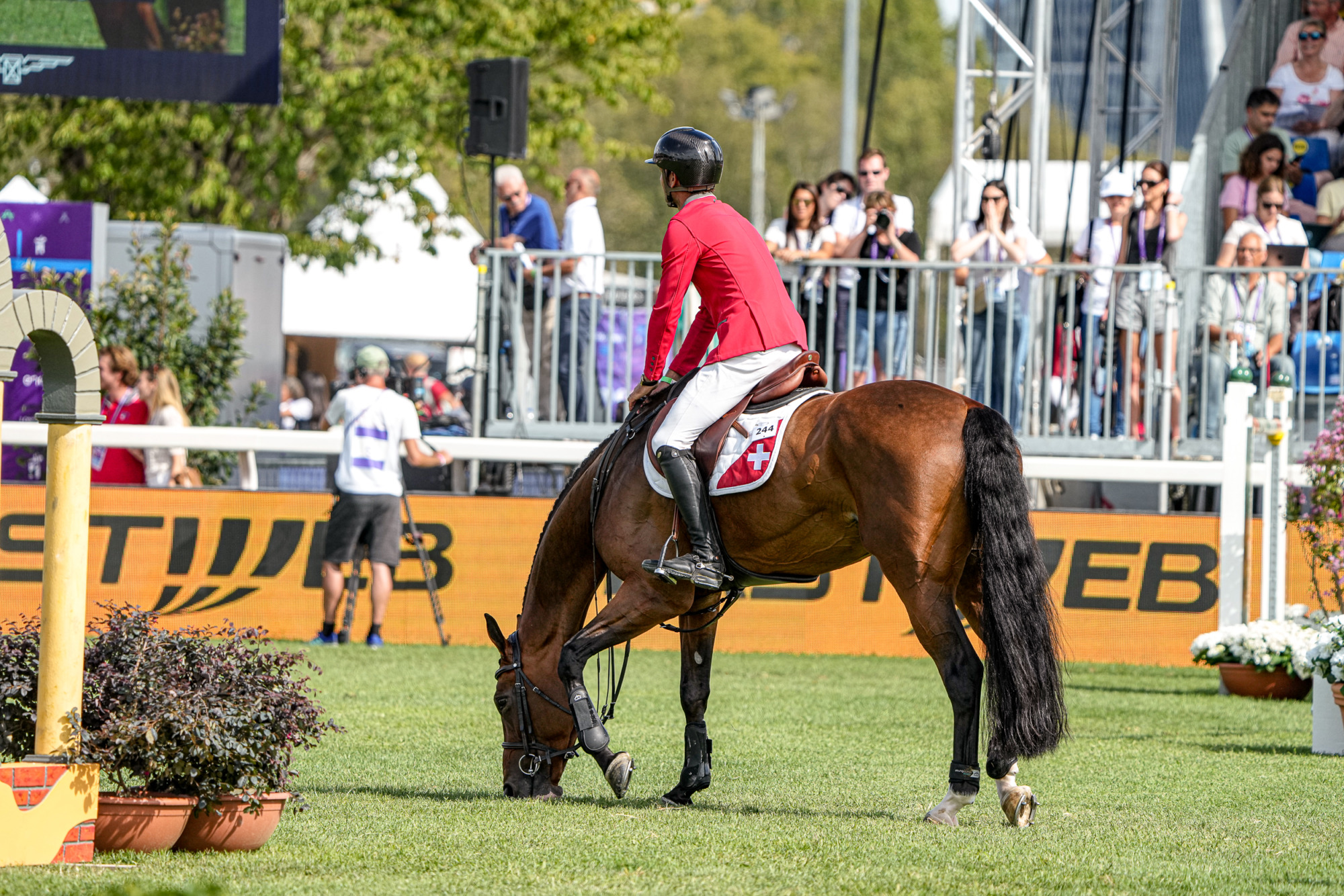 Steve Guerdat (sui) Dynamix De Belheme