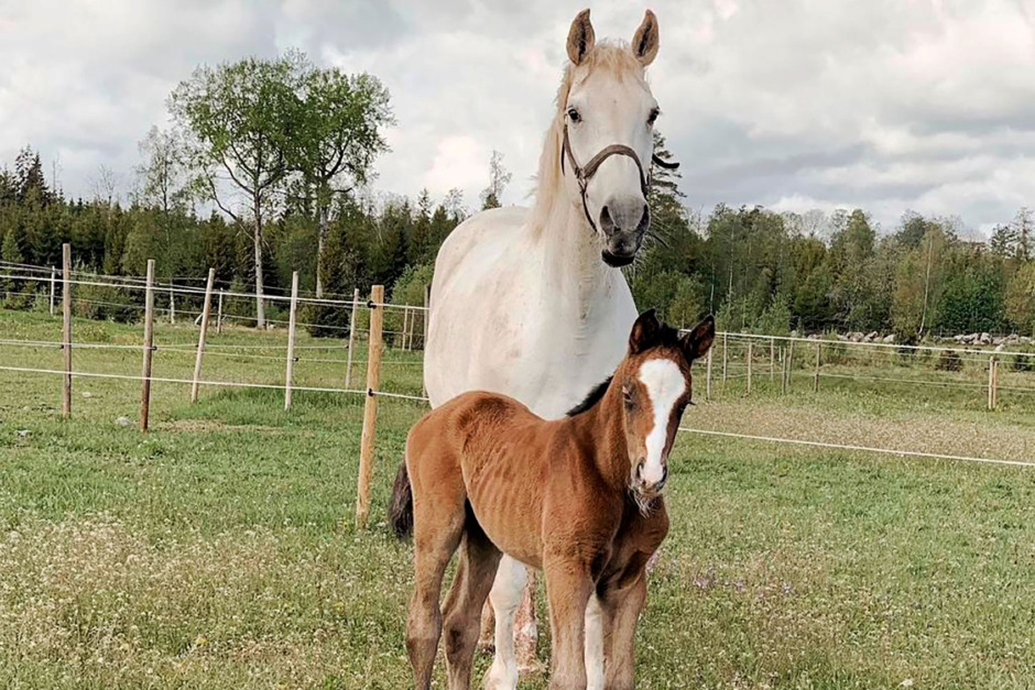 Mor till två topphoppare