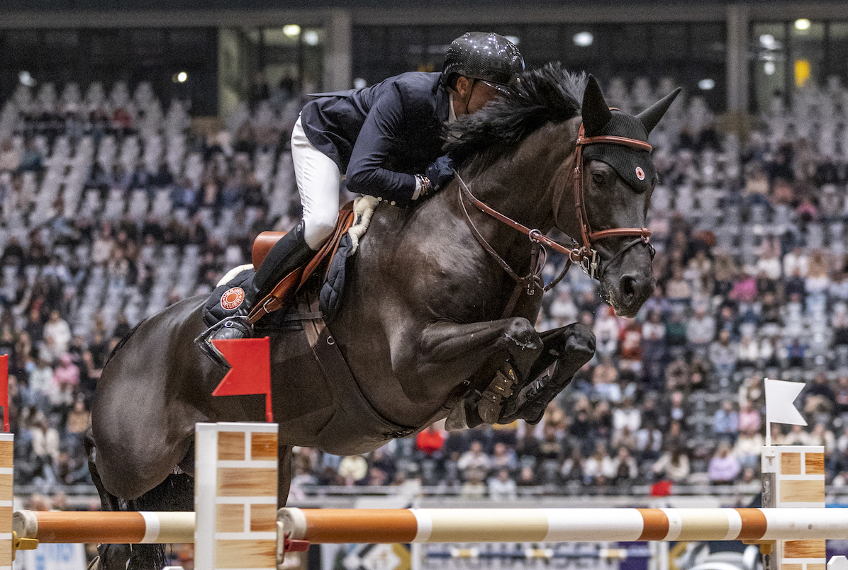 1.placesimondelestredexterfonteniszfotoastridmarieardal