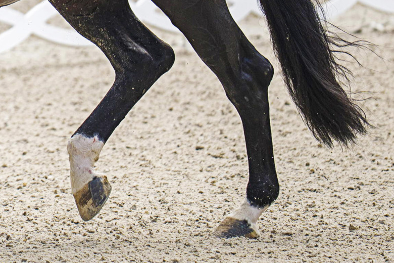 Piphas – mer fult än skadligt