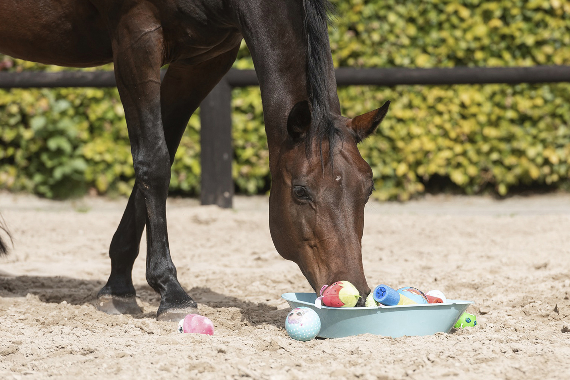 293026969_450022067130182_6983789409927990654_n