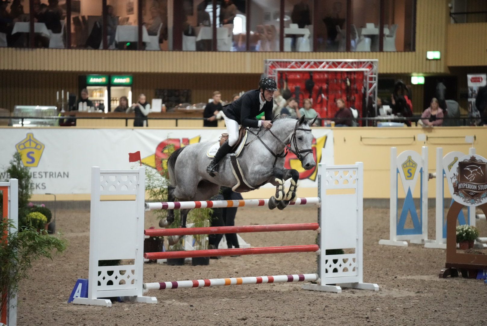 6y Fredrik Hasselberg-1