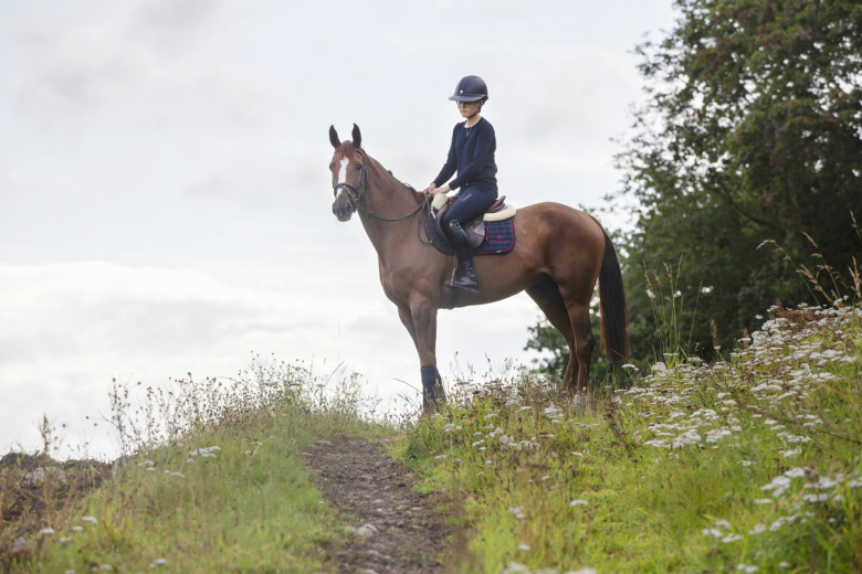 Beata Hermelin: ”Jag vill lära mig rida alla typer av hästar”