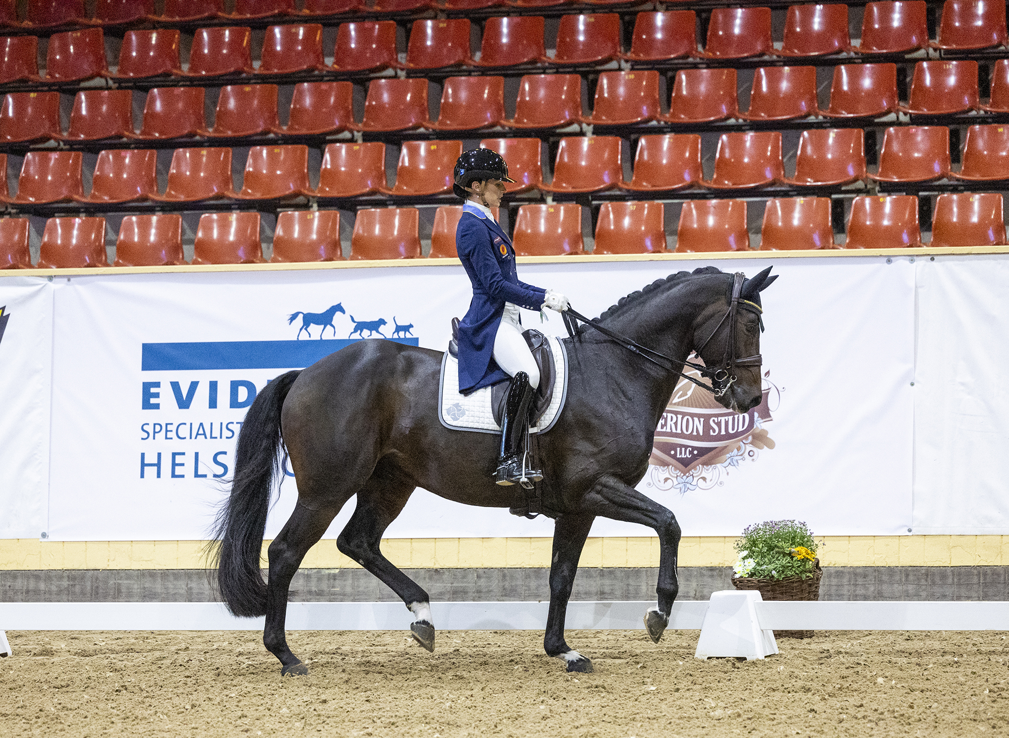 Caroline Darcourt-bournonville 1 231001 Rt