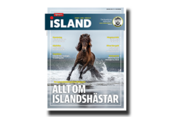 Ny Islandstidning
