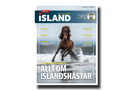 Ny Islandstidning