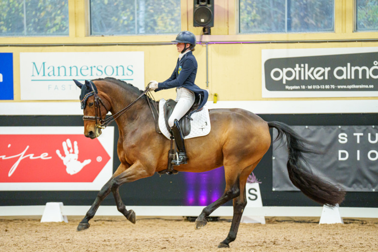 Webb-tv: YR-vinnaren om hästen i sitt hjärta