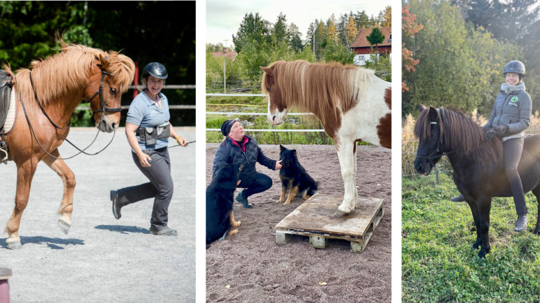 Alternativt mästerskap ska förbättra hästvälfärden