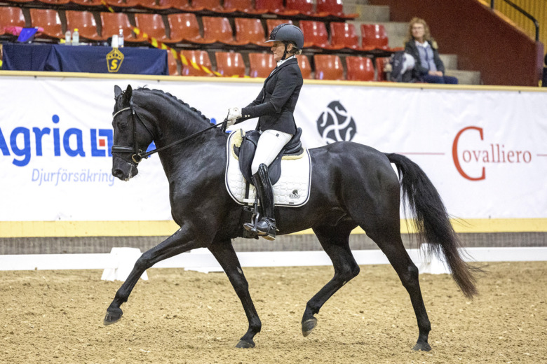 Breeders Trophy – det händer på fredagen