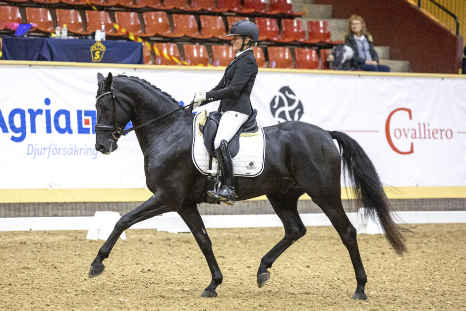 Breeders Trophy – det händer på fredagen