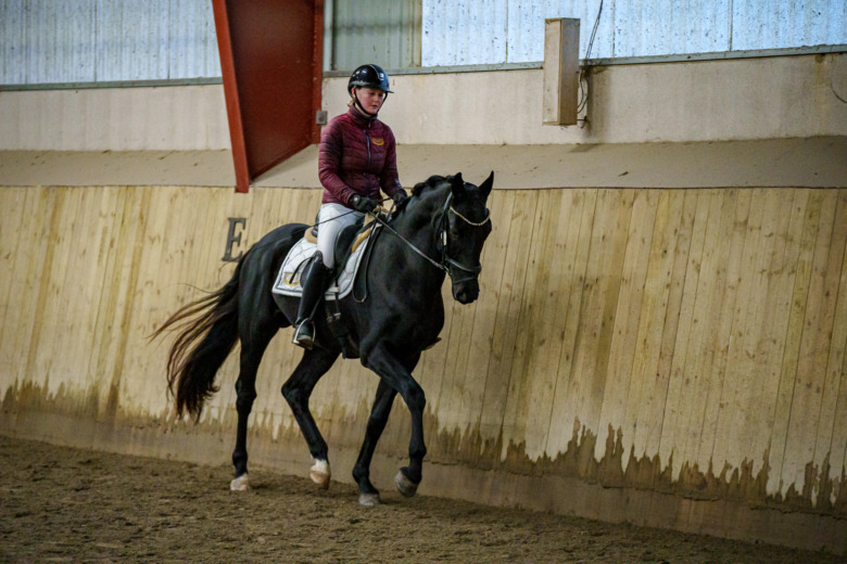 Unghästdomaren: ”Har stadigt blivit bättre under mina år”