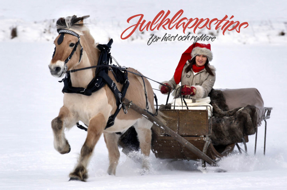 Julklappstips