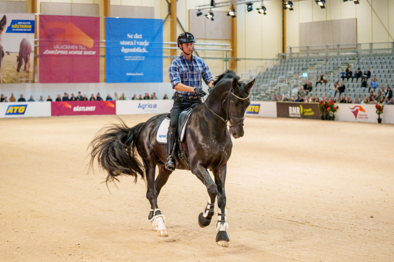 Kolla klippet: Carl Hedin har sålt sin unghäststjärna