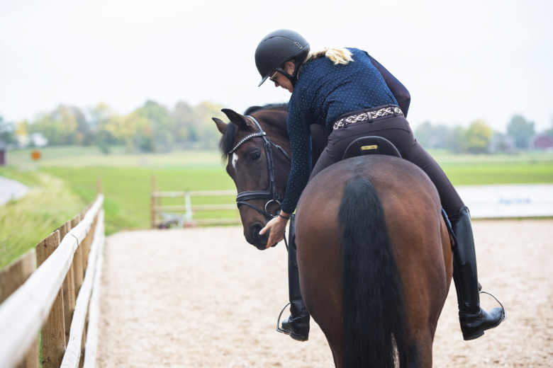 Så får vi säkra och trygga hästar