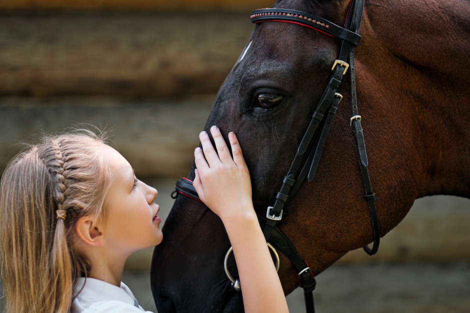 ”Att hästar fostrar driftighet har också blivit ridsportens förbannelse”