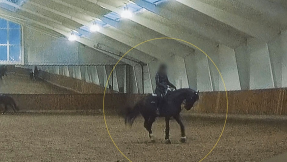 Mest läst 2023: Skräckbilderna hos Helgstrand Dressage