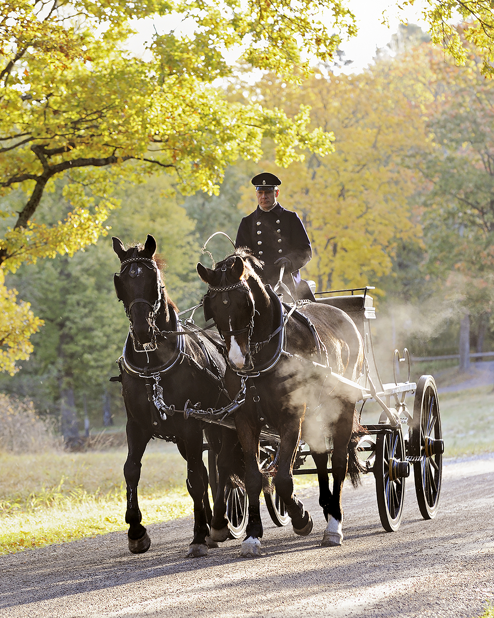 The Royal Mews, Sweden