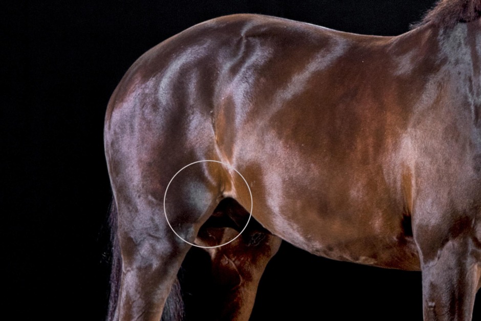 Därför hakar knäet upp sig