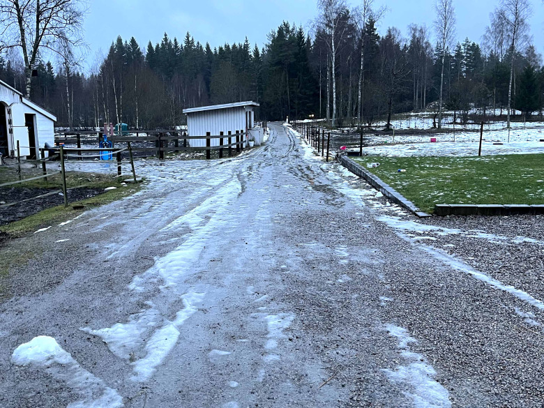 273 Dag 3