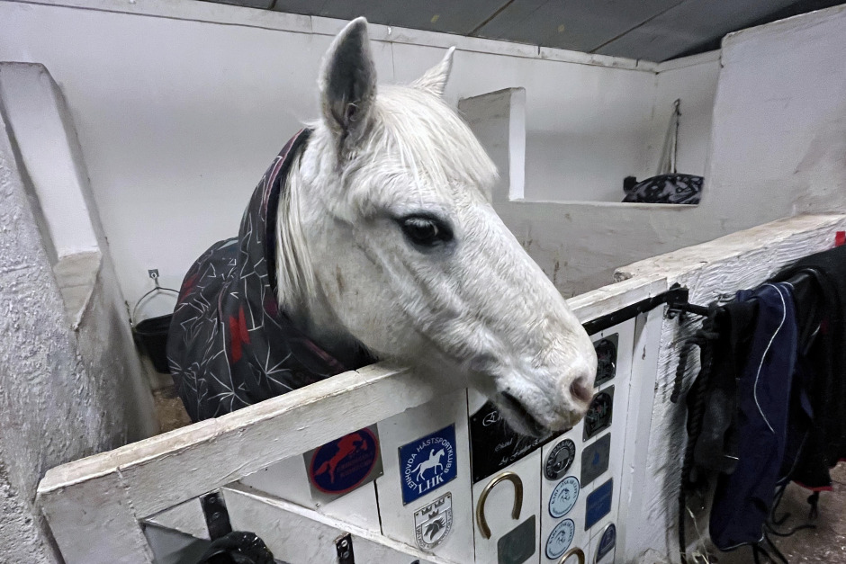 Ponnypappan: Snö, tö och en viktig kraftkälla