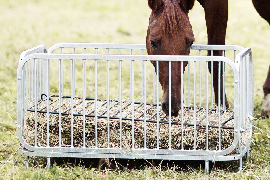 Fem tips för att dryga ut tuggtiden